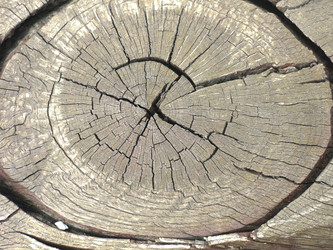 Similar image 21448629