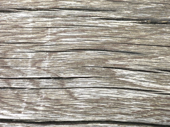 Similar image 21448630