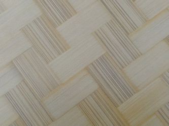 Similar image 21450343