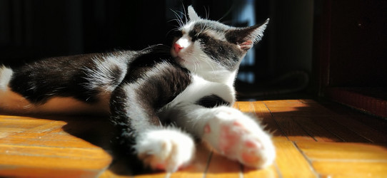 Similar image 21450344