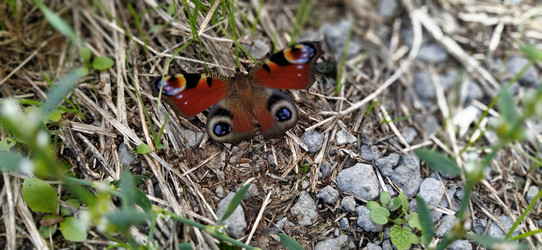 Similar image 21452199