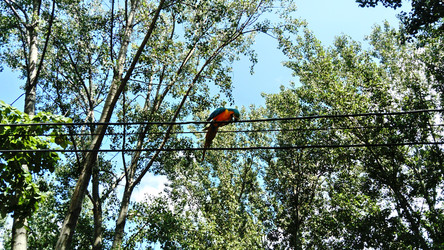 Similar image 21452201