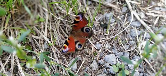 Similar image 21452202