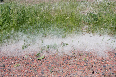 Similar image 21448184