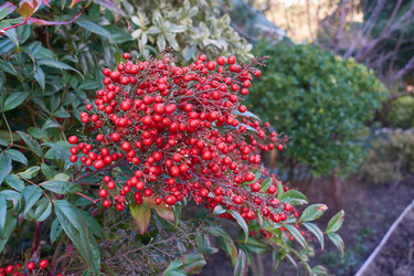 Similar image 21448187