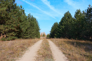 Similar image 21448189