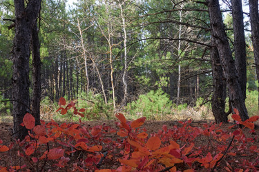 Similar image 21448191