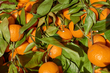 Similar image 21448194