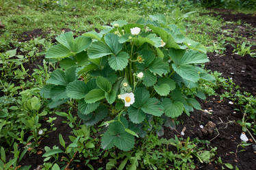 Similar image 21448198