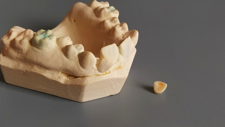 Similar image 21453293