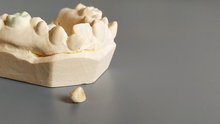 Similar image 21453299