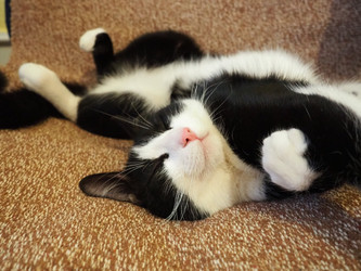 Similar image 21449916