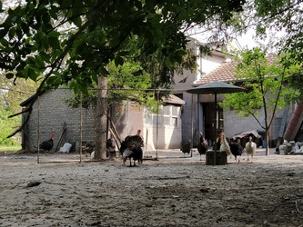 Similar image 21449919