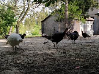 Similar image 21449923