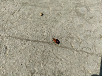 Similar image 21450246