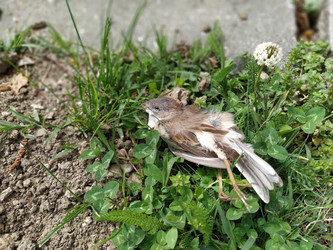 Similar image 21450250