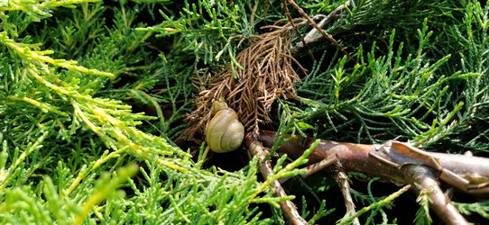 Similar image 21450254