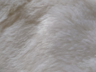 Similar image 21450259