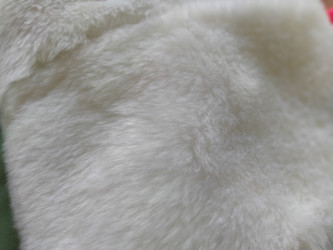 Similar image 21450262