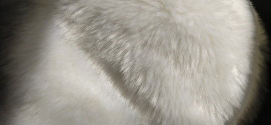 Similar image 21450263