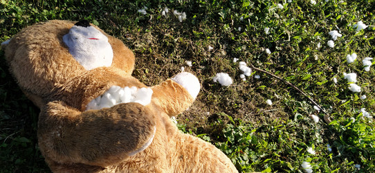 Similar image 21450365