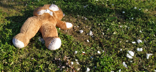 Similar image 21450366