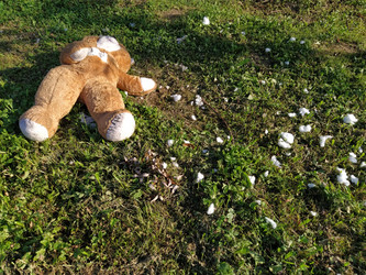 Similar image 21450367