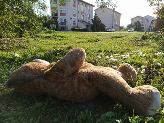 Similar image 21450369