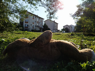 Similar image 21450371