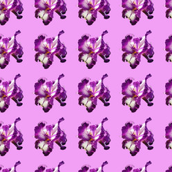 Similar image 21450373