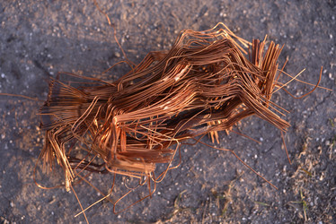 Similar image 21448206