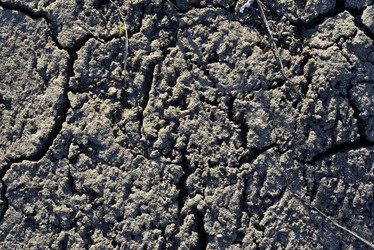 Similar image 21448207