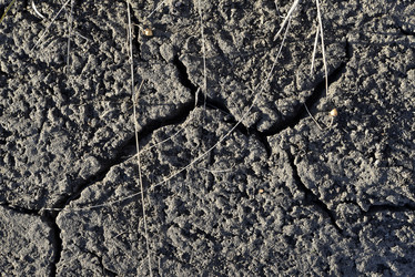 Similar image 21448209