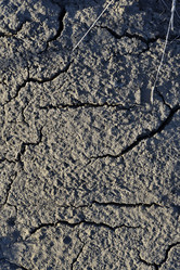 Similar image 21448211