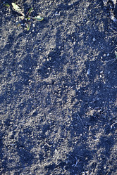 Similar image 21448212