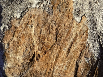 Similar image 21452052