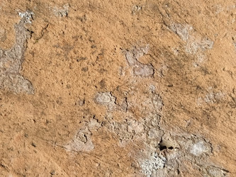 Similar image 21452059