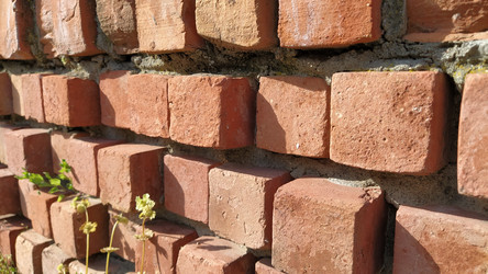 Similar image 21449930