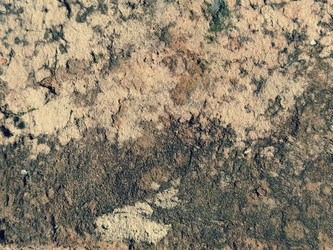 Similar image 21449931