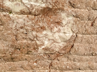 Similar image 21449938