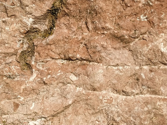 Similar image 21449946