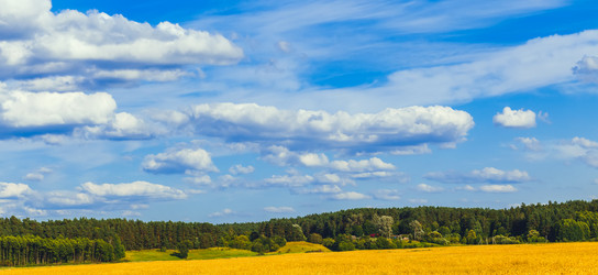 Similar image 21448230