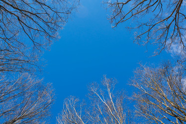 Similar image 21448232