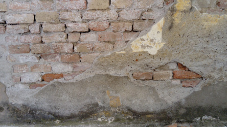 Similar image 21449954