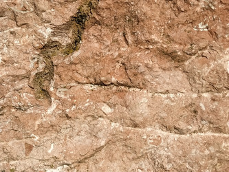 Similar image 21449958