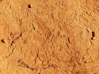 Similar image 21449963