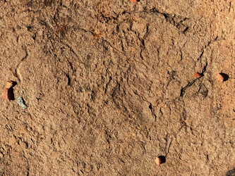 Similar image 21449966