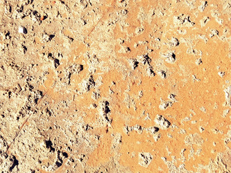 Similar image 21449970