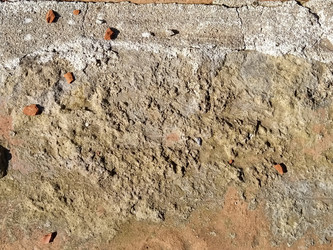 Similar image 21449975