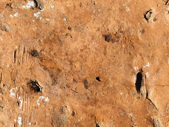 Similar image 21449979